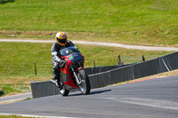 cadwell-park;cadwell-park-photographs;cadwell-trackday-photographs;enduro-digital-images;event-digital-images;eventdigitalimages;peter-wileman-photography;racing-digital-images;trackday-digital-images;trackday-photos